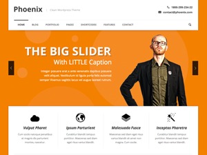 Theme WordPress Phoenix by Goodlayers