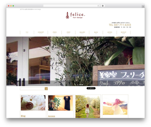 Really simple calendar WordPress plugin - felice-hairdesign.info