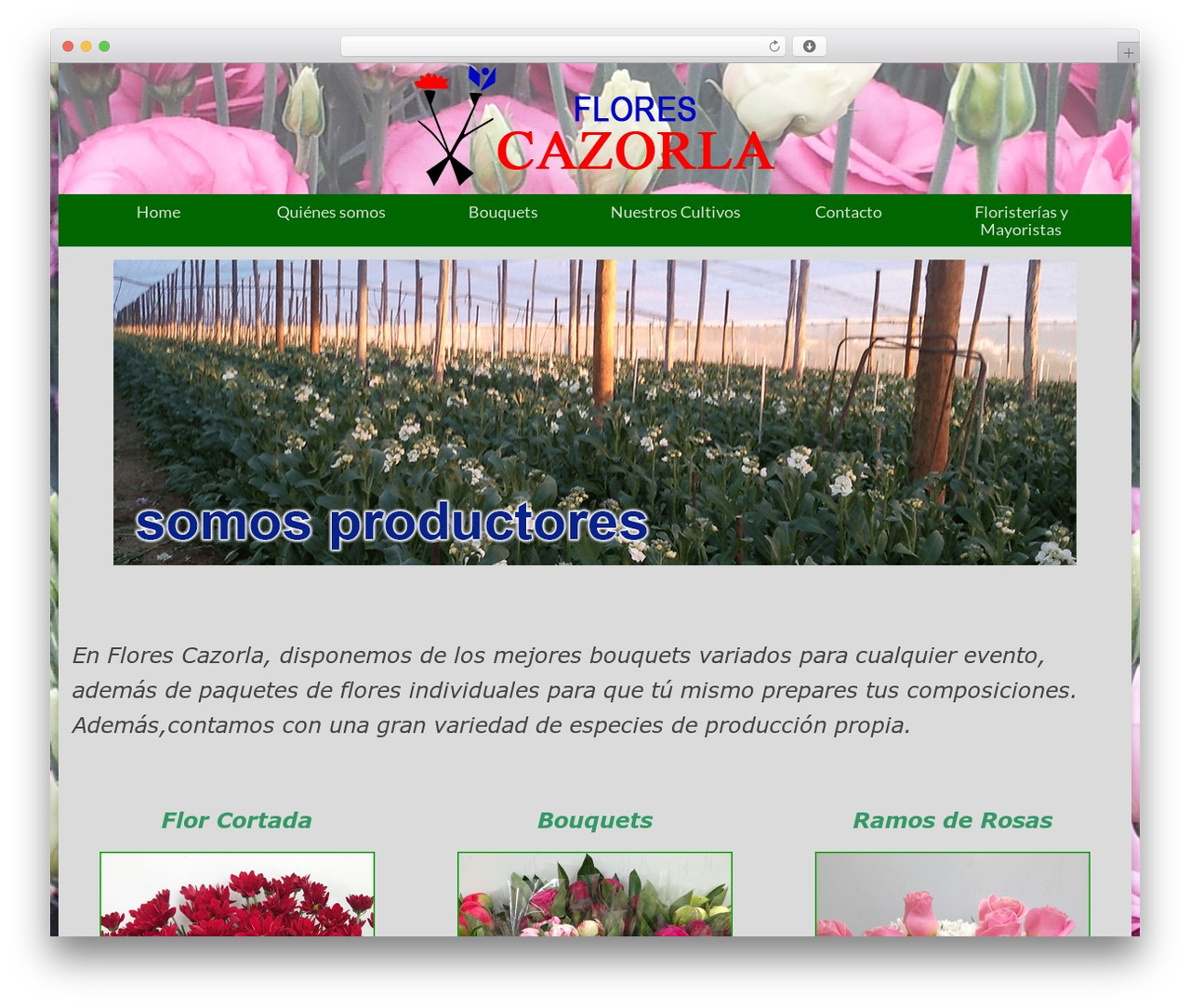 Virtue WordPress theme - florescazorla.com Virtue WordPress theme - florescazorla.com