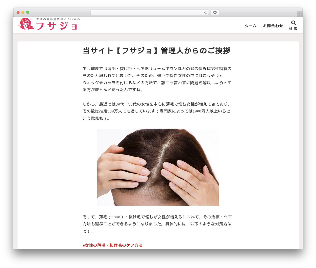 WordPress theme 般若ビルダー - fusajo.com