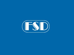 WordPress theme FSD WordPress theme FSD