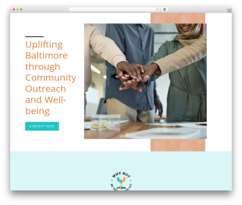 WordPress website theme Constructor - whynotbethechange.org