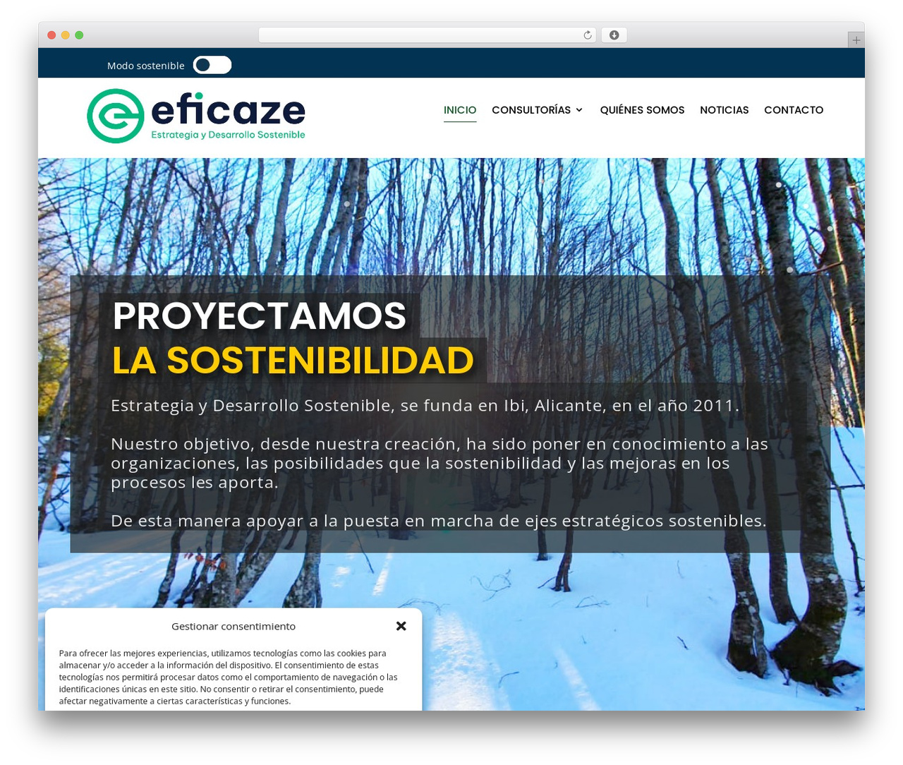 Divi Child theme WordPress - eficaze.com Divi Child theme WordPress - eficaze.com