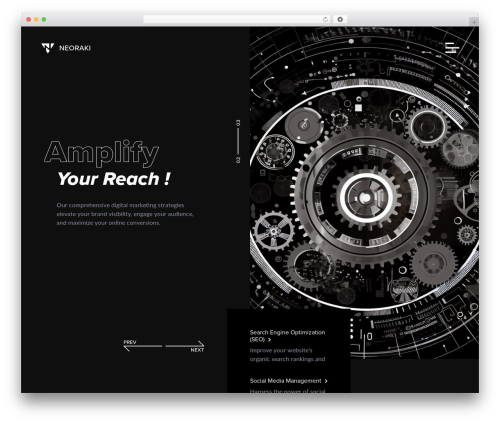 Shock core WordPress plugin - neoraki.com