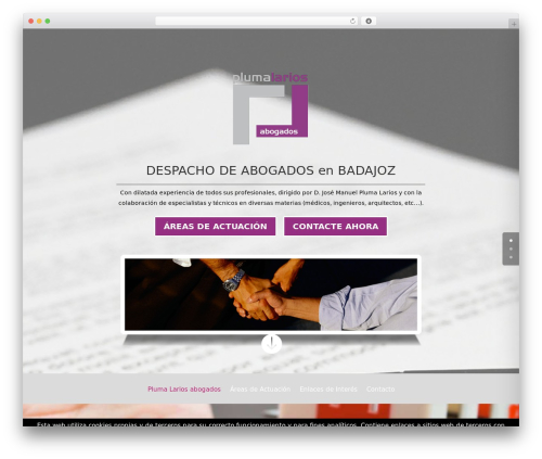 Theme WordPress Divi - plumalarios.com