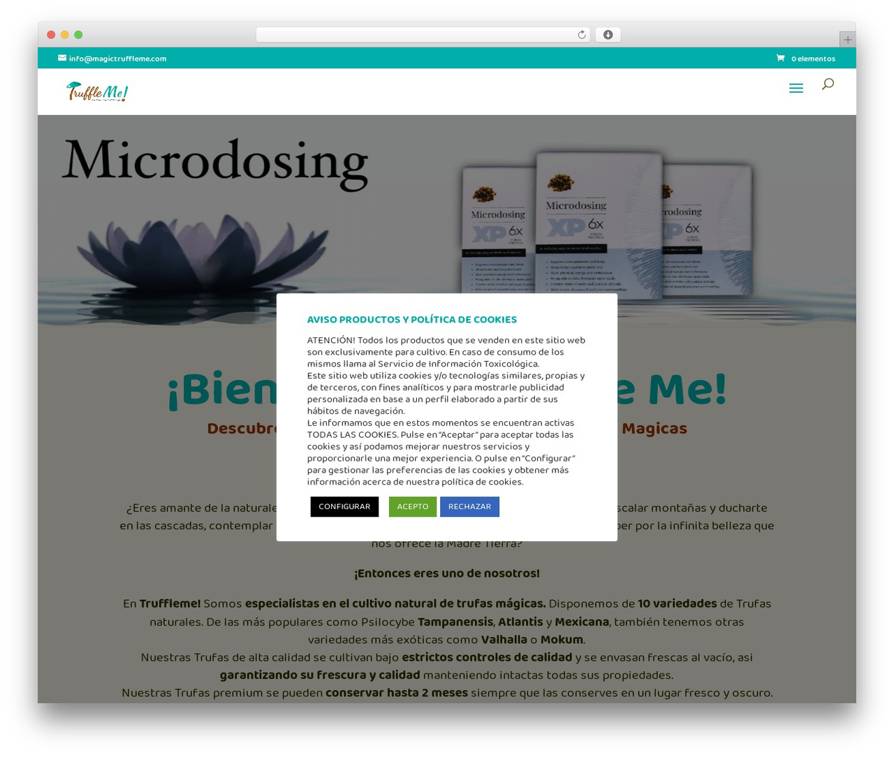 Theme WordPress Divi - magictruffleme.com