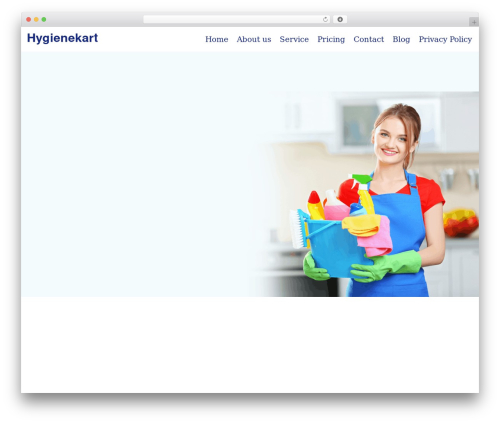Cleaning Master WordPress theme design - hygienekart.com
