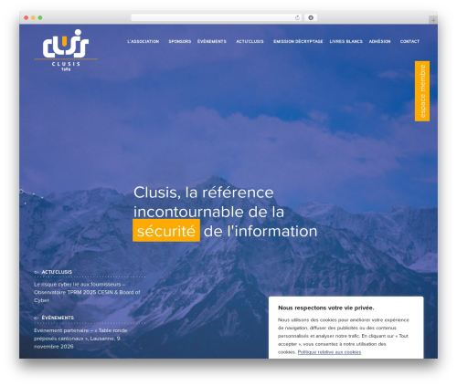EasyQuickSite WordPress theme - clusis.com