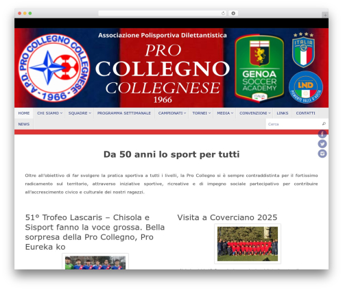 Sz video WordPress plugin - procollegno.it