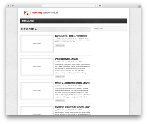 Avenue WordPress theme - przyczepyreklamowe.pl