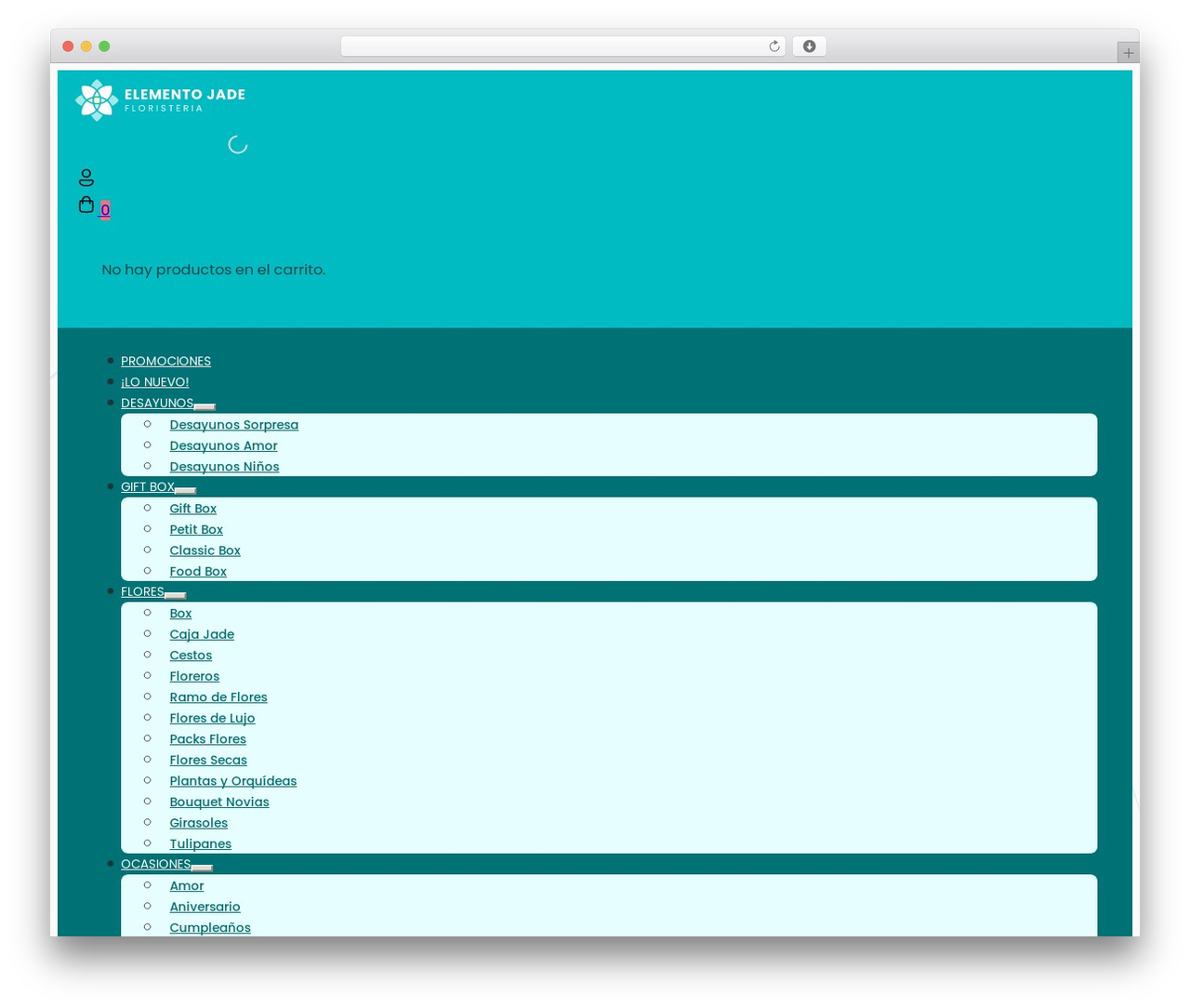 Bricks Child Theme theme WordPress - elementojade.pe