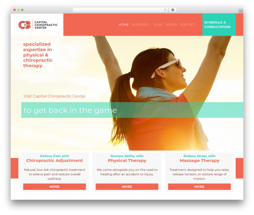 C3 Theme WordPress theme - c3capitalchirocenter.com