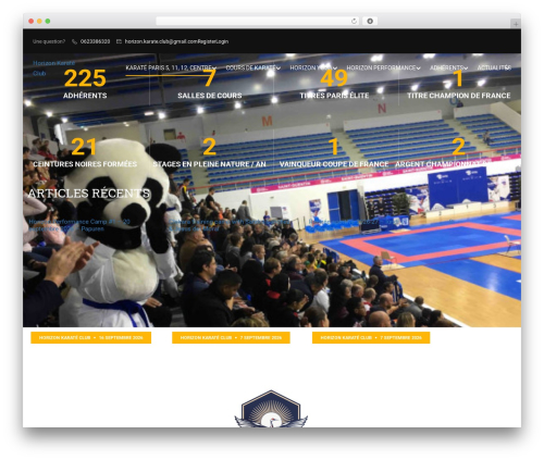 Tp portfolio WordPress plugin - horizonkarateclub.fr