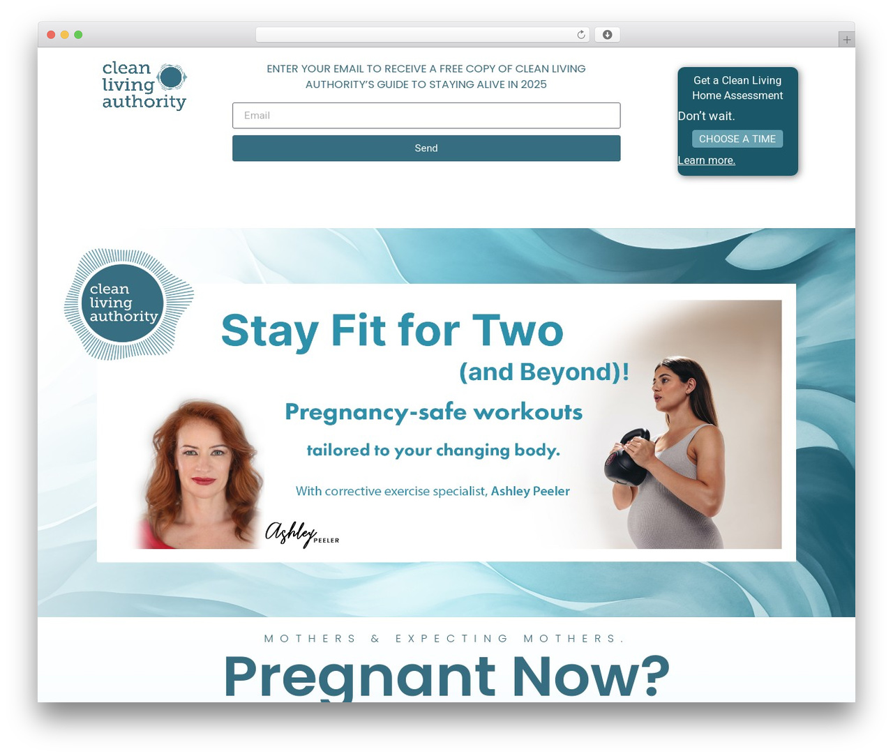 Hello Elementor WordPress theme - cleanlivingauthority.com