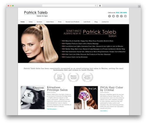 Modernize WordPress theme - patricktaleb.com