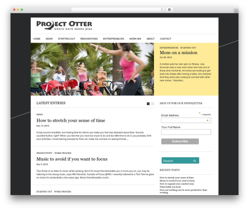 Sight top WordPress theme - projectotter.com