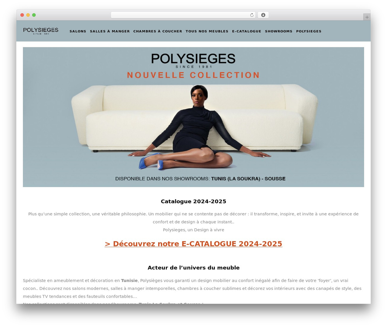 Theme WordPress Cislen - polysieges-tunisie.com