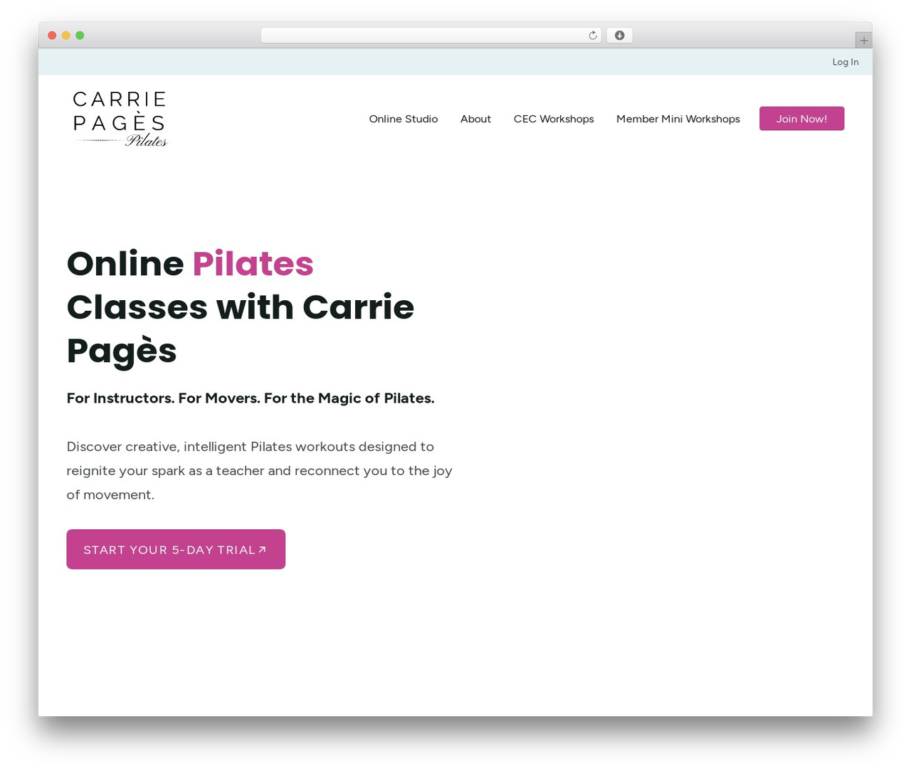 WordPress theme S&V Marketing Theme - carriepagespilates.com