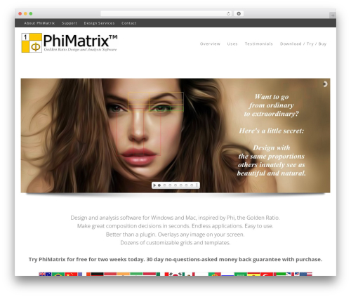 Ally WordPress theme - phimatrix.com