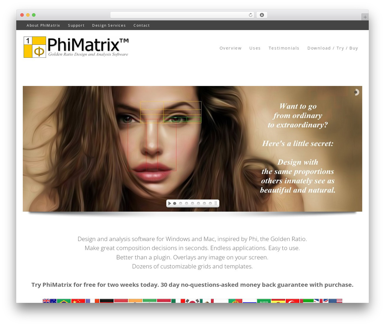 Ally WordPress theme - phimatrix.com