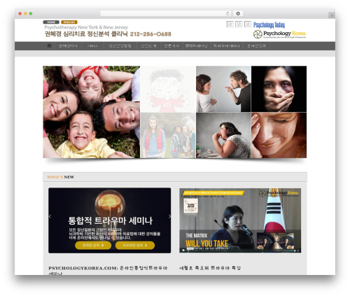 Theme WordPress iTheme2 - psychoanalystdrkwon.com