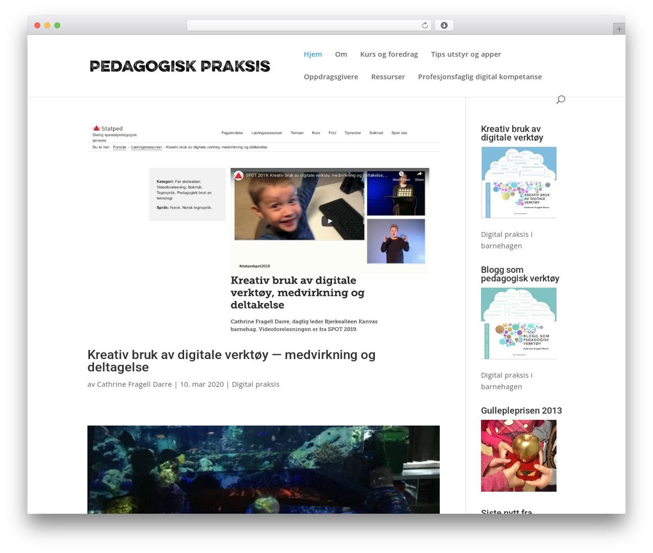 Theme WordPress Divi - pedagogiskpraksis.no