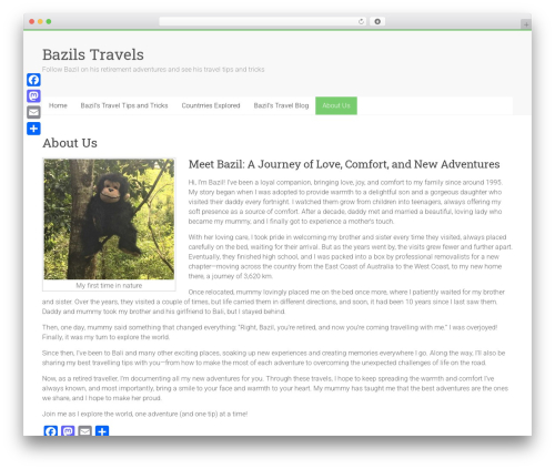 Follow Us Badges (wpsite-follow-us-badges) free WordPress plugin - bazilstravels.com