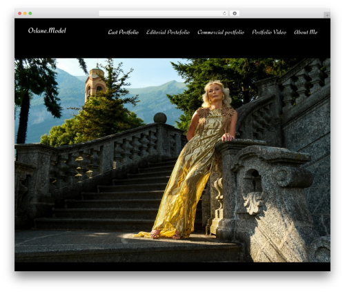 Ashade theme WordPress - www.elegantasalluring.com