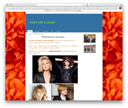 K2 best WordPress theme - coiffureelmane.unblog.fr