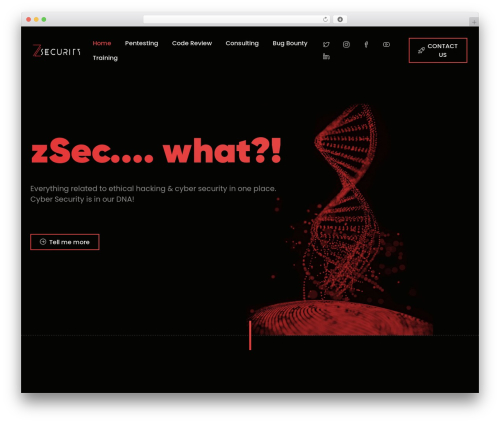 Leverage best WordPress theme - zsecurity.com