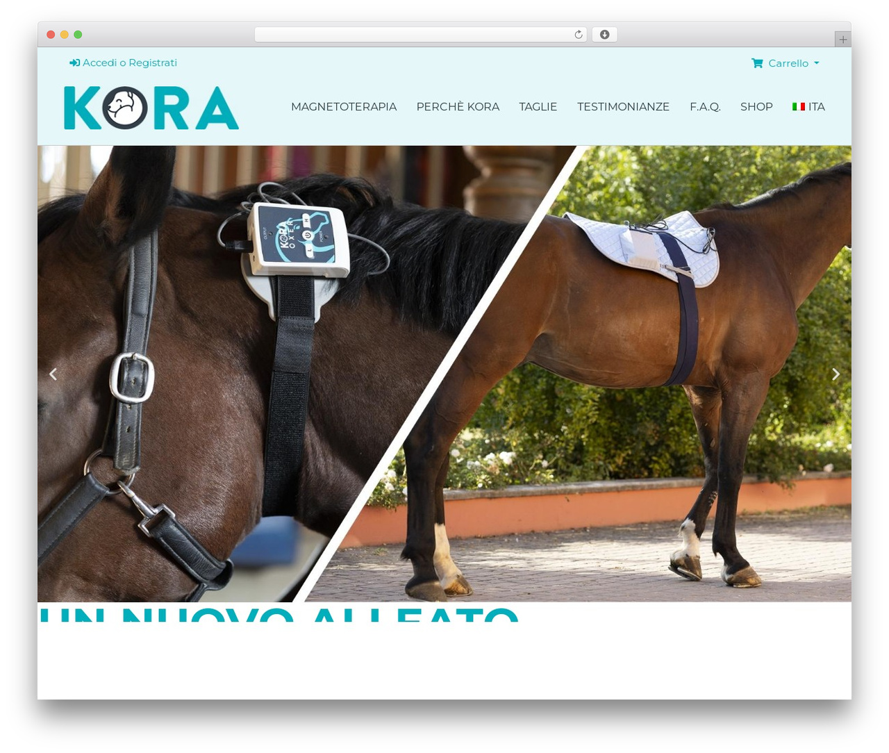 Theme WordPress Koratherapy - koratherapy.com Theme WordPress Koratherapy - koratherapy.com