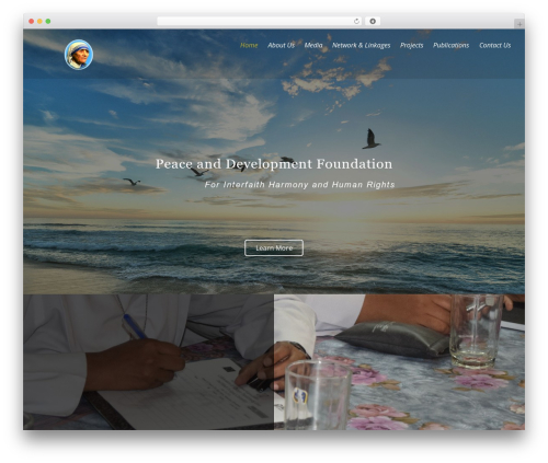 Themify Ultra WordPress theme - pdfpak.org
