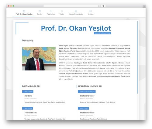 Unique theme WordPress - okanyesilot.com