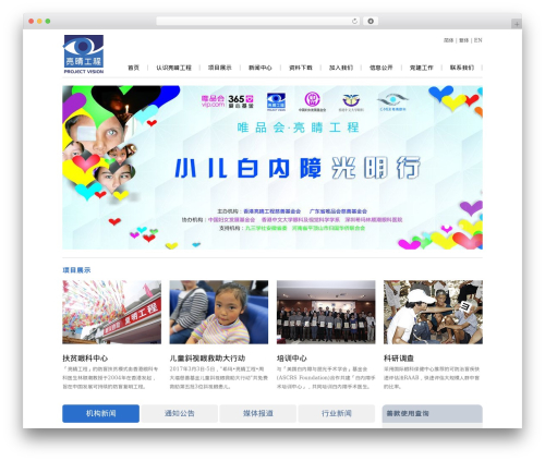 WordPress theme 亮睛工程 - projectvision.org.cn