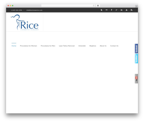 WordPress theme Blandes - doctorseanrice.com