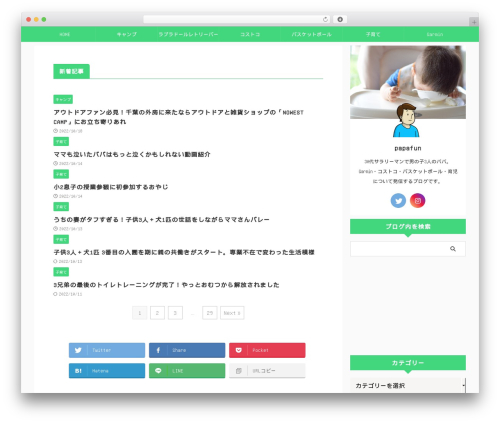 St pv monitor WordPress plugin - papamiti.com