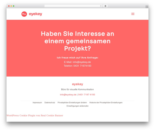 Ionos assistant WordPress plugin - eyekey.de