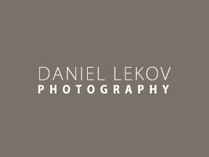 DL WordPress theme DL WordPress theme
