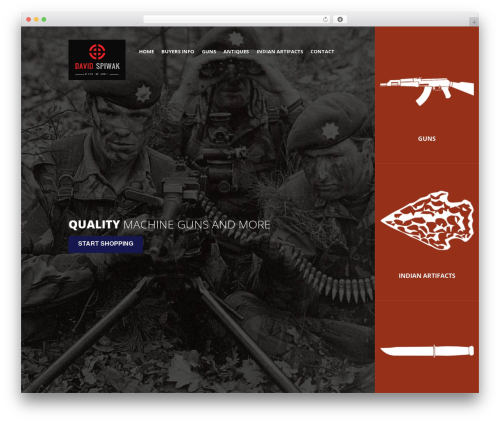 MSH Responsive (SASS) Theme theme WordPress - davidspiwak.com