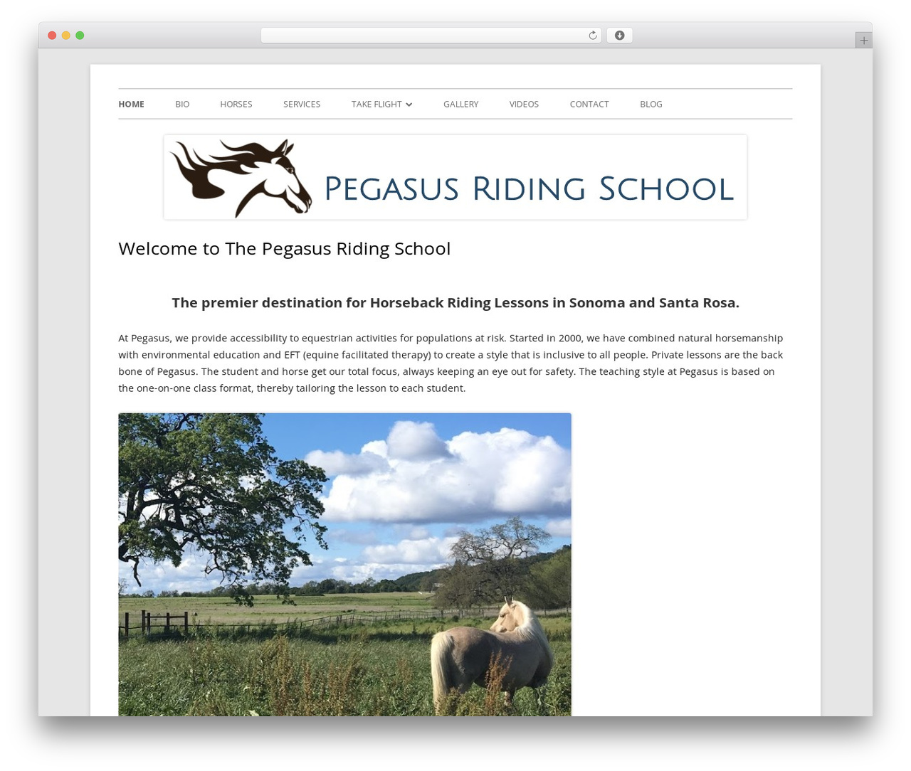 Tiny Framework WordPress theme - pegasusridingschool.org