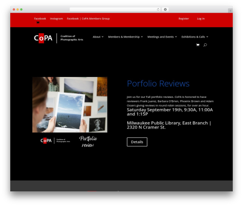 WordPress theme Divi - copamilwaukee.com