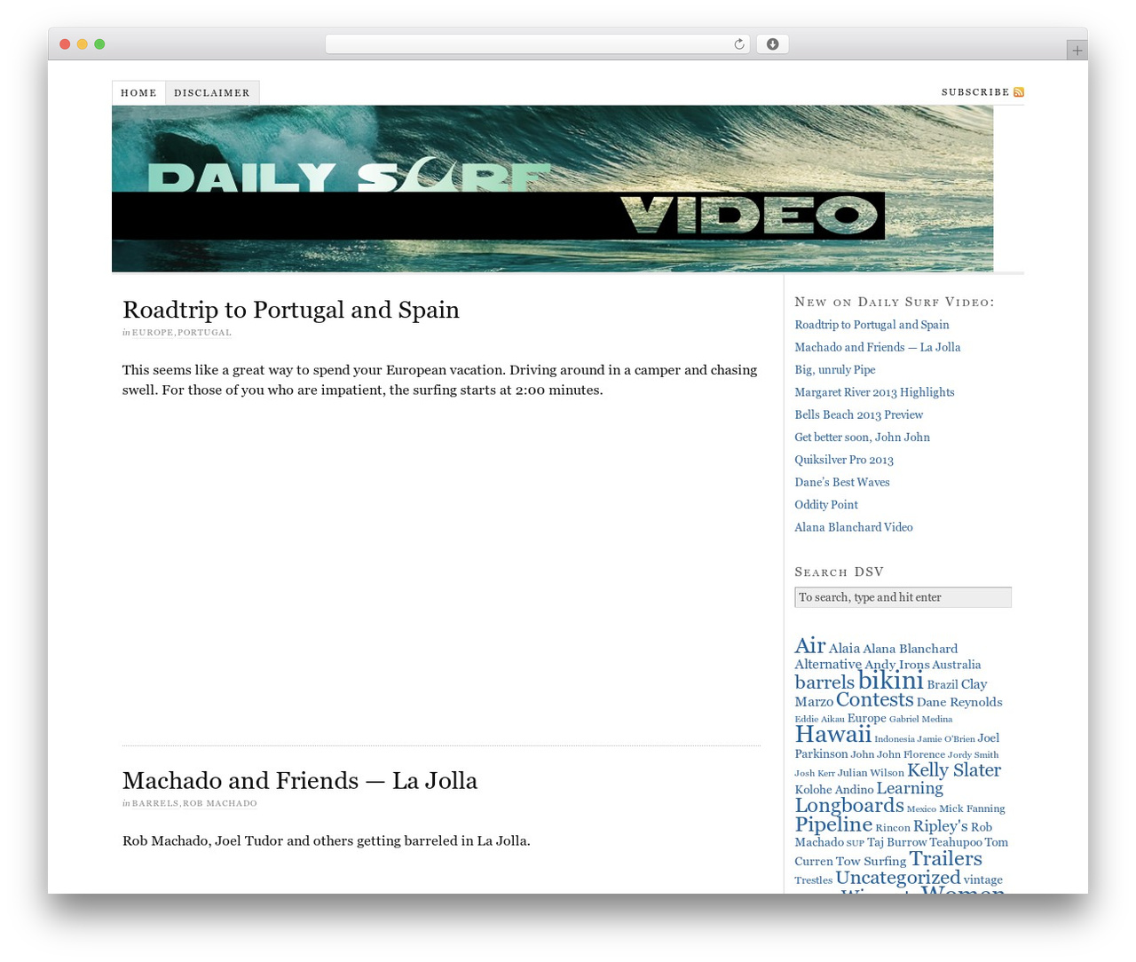WordPress theme Thesis - dailysurfvideo.com