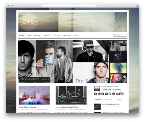 Pagelines customize WordPress plugin - danceyrselfclean.com