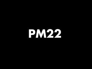 Best WordPress theme PM22