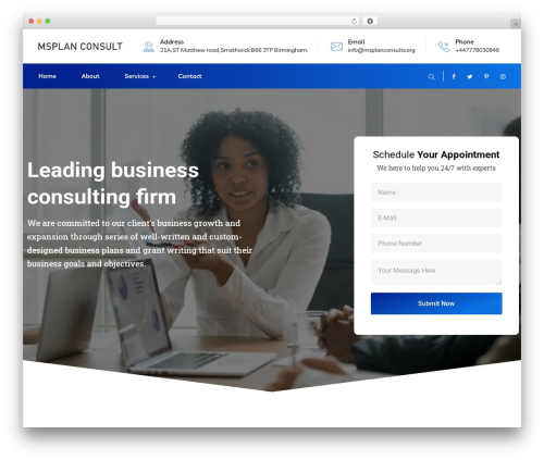Braintech WordPress website theme - msplanconsults.org