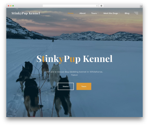 WP Power Stats (wp-power-stats) free WordPress plugin - stinkypup.net