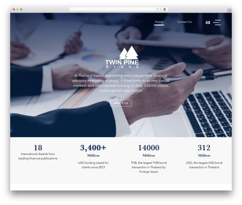 Divi WordPress theme - twinpinegroup.com