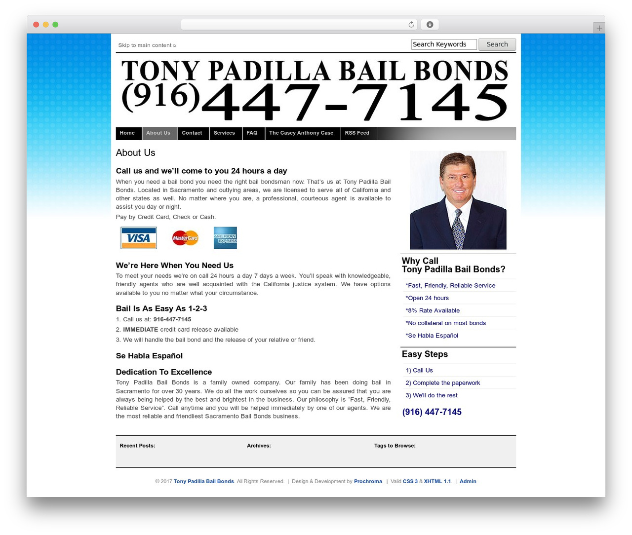 Dodo WordPress theme design - padillabail.com
