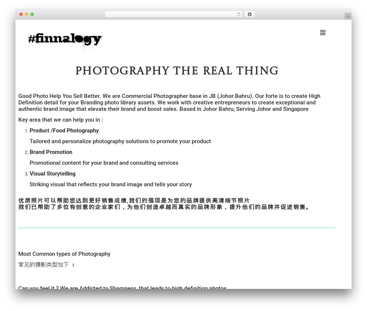 Hello Elementor theme WordPress - finnalogy.com
