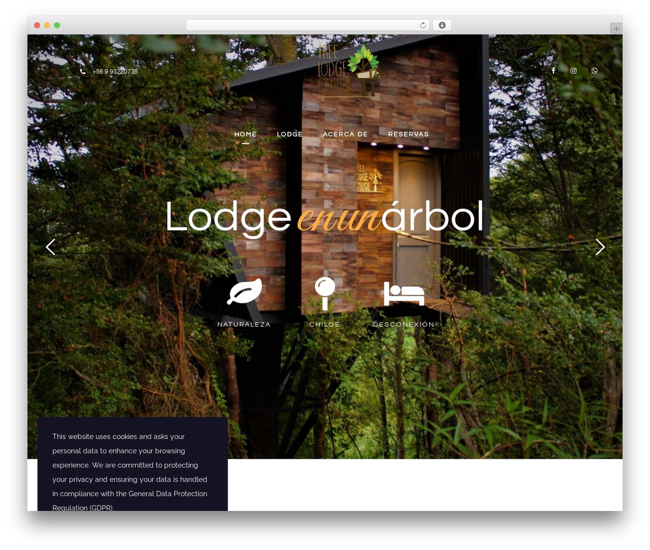 Hotello WordPress theme - treelodgechiloe.cl